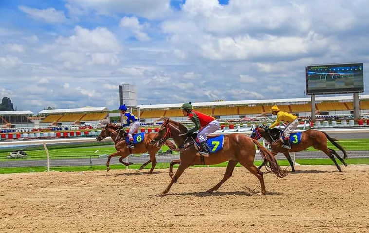 Tìm Hiểu Cá Cược Đua Ngựa SumVip - Kinh Nghiệm Và Chiến Thuật Hiệu Quả