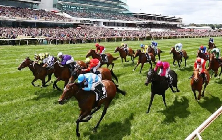 Tìm Hiểu Cá Cược Đua Ngựa SumVip - Kinh Nghiệm Và Chiến Thuật Hiệu Quả