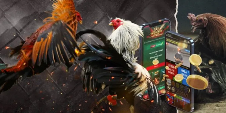 Cách Chơi Đá Gà GA28 Tại SumVip - Hướng Dẫn Chi Tiết Cho Bet Thủ